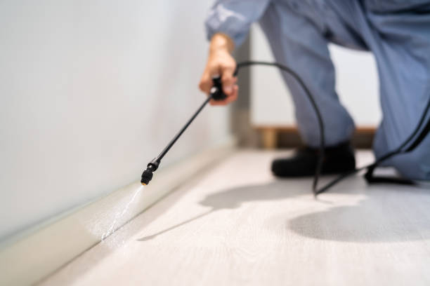 Licensed Termite Control service in Theodore, AL - Nex Pest Control