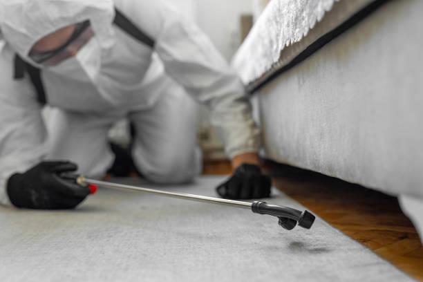 Professional Termite Control technician working in Theodore, AL