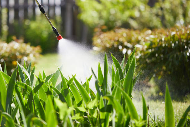 24/7 Emergency Termite Control experts in Theodore, AL