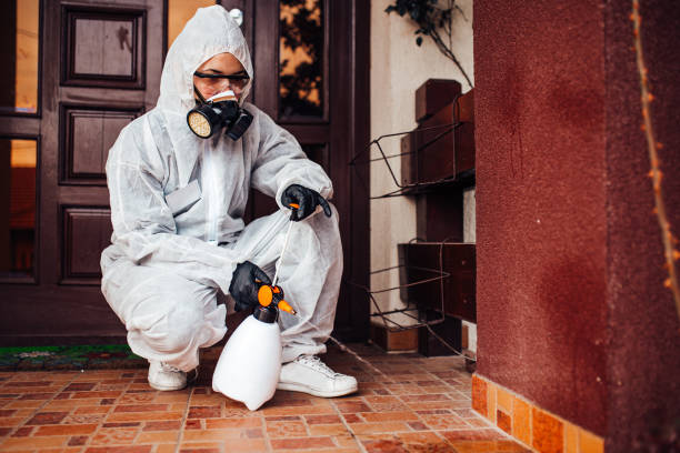 Reliable Termite Control contractor in Theodore, AL by Nex Pest Control